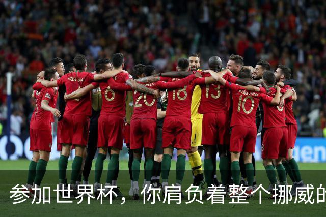 参加世界杯，你肩负着整个挪威的期望！哈兰德：我喜欢这样